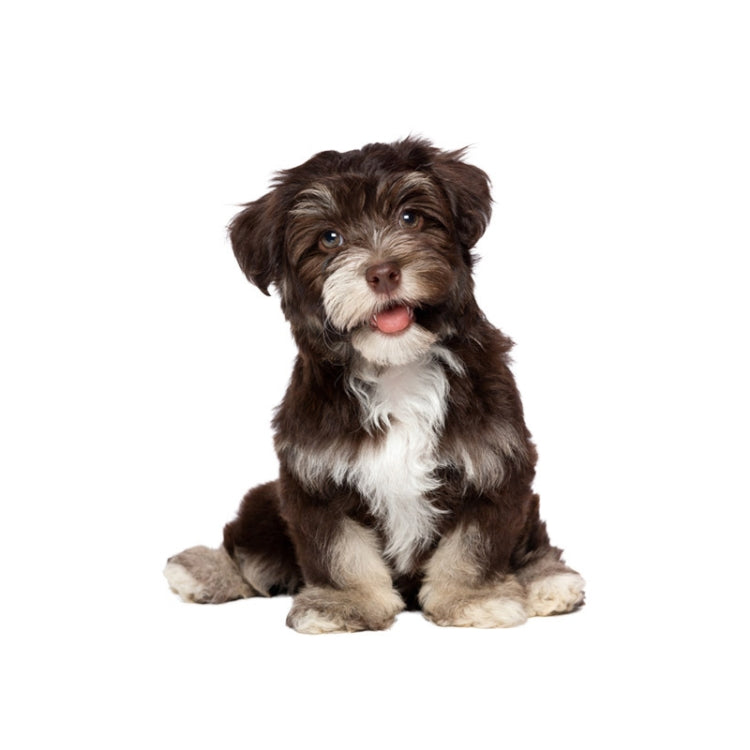 Style 3 Small 3D Simulation Dog Car Stickers Rain-Proof Sunscreen Car Sticker Scratch Shaving Decoration Stickers by buy2fix