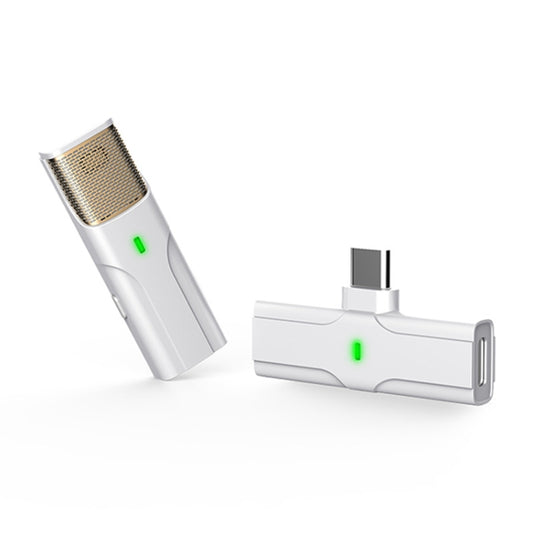 DS01 Outdoor Live Collar Microphone Collar Interview Recording Noise Reduction Wireless Microphone, Specification: Type-C / USB-C (White) - Microphone by buy2fix | Online Shopping UK | buy2fix