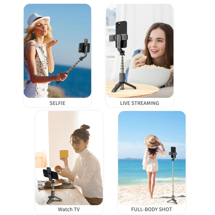Mini Selfie Stick Integrated Multifunctional Bluetooth Selfie, Specification: Q10S 70cm With Fill Light - Selfie Sticks by buy2fix | Online Shopping UK | buy2fix