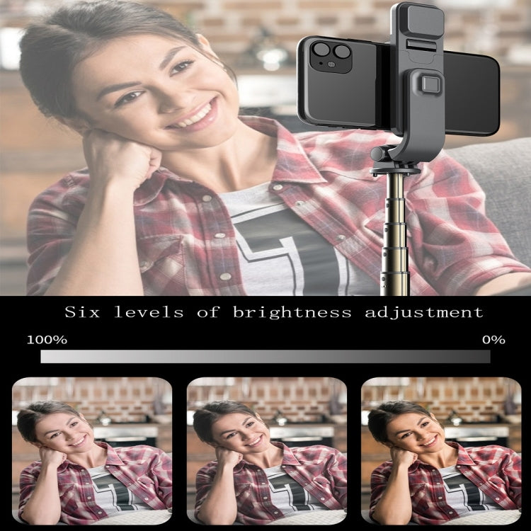 L03S Bluetooth Fill Light Tripod Integrated Selfie Stick(Black) - Selfie Sticks by buy2fix | Online Shopping UK | buy2fix