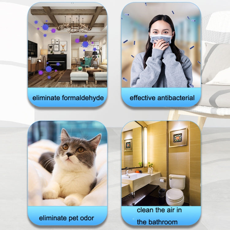 CT02 Negative Ion Air Purifier Pet Deodorant Removal Cleaner, Product specifications: US Plug(Black) - Air Purifiers & Accessories by buy2fix | Online Shopping UK | buy2fix