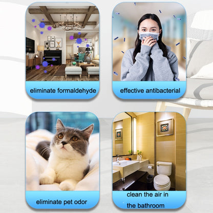CT02 Negative Ion Air Purifier Pet Deodorant Removal Cleaner, Product specifications: US Plug(Black) - Air Purifiers & Accessories by buy2fix | Online Shopping UK | buy2fix