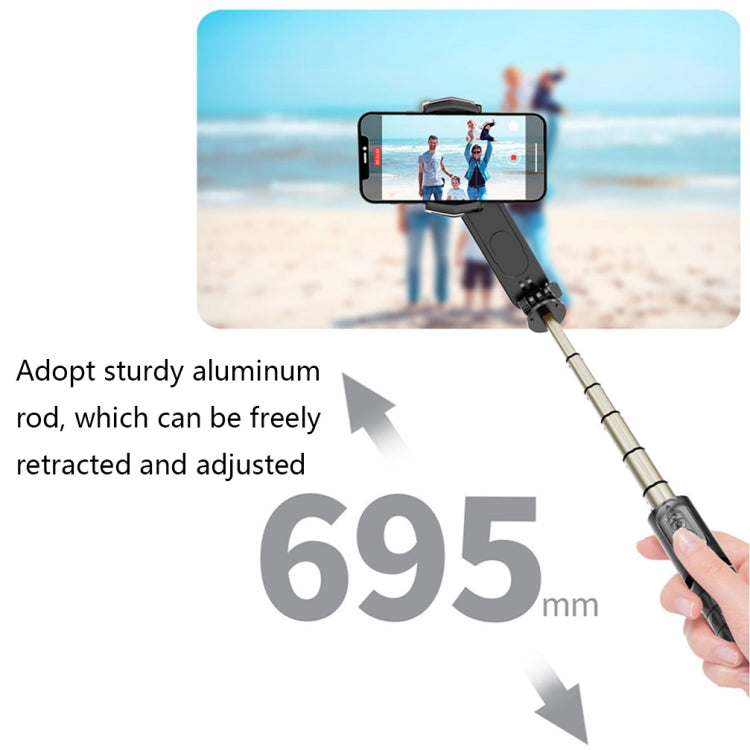 Removable Fill Light Phone Handheld Stabilizer with APP(Q09 Black) - Handheld Gimbals by buy2fix | Online Shopping UK | buy2fix