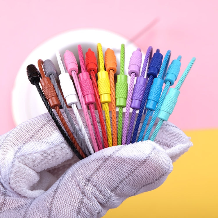 20 PCS Colorful Paint Steel Wire Rope Car Key Ring DIY Accessories(Color Random Delivery) by buy2fix