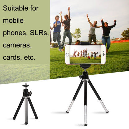2PCS Projector Phone Stand Desktop Portable Telescopic Mini Metal Tripod, Style: 2 Sections (Silver) - Tripods by buy2fix | Online Shopping UK | buy2fix