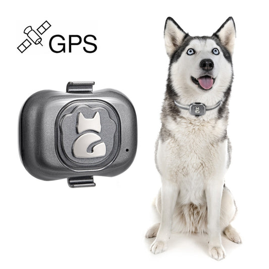 G16 Pets GPS Tracker IP67 Waterproof Smart Collar Anti-lost Tracking for Dog Cat - Pet Tracker by buy2fix | Online Shopping UK | buy2fix