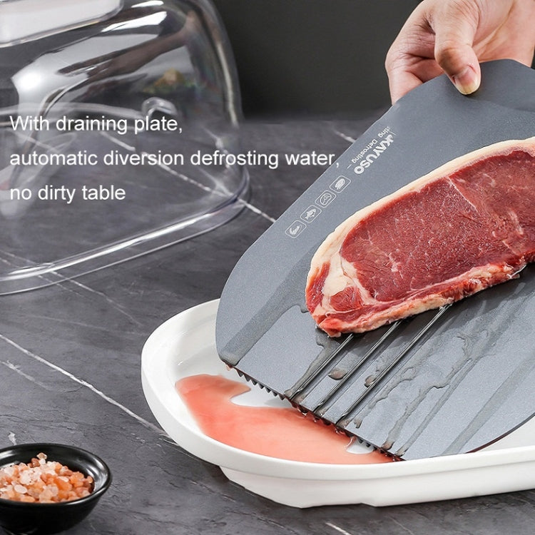 Frozen Food Quick Thaw Tray Thaw Plate(Golden) - Gadgets by buy2fix | Online Shopping UK | buy2fix