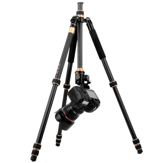 QingZhuangShiDai Q222C SLR Camera Carbon Fiber Portable Travel Tripod(Black)