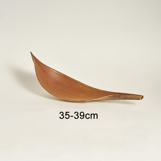 35-39 cm Cocoa Leaves Natural Plant Shooting Props Dry Flower Ornaments - Other Props by buy2fix | Online Shopping UK | buy2fix