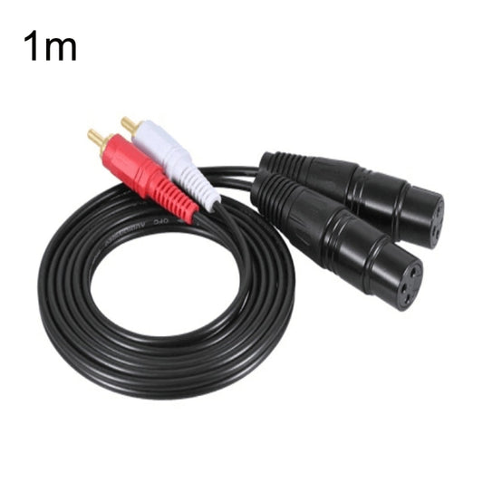 2RCA To 2XLR Speaker Canon Cable Audio Balance Cable, Size: 1m(Dual Lotus To Dual Female) - Microphone Audio Cable & Connector by buy2fix | Online Shopping UK | buy2fix