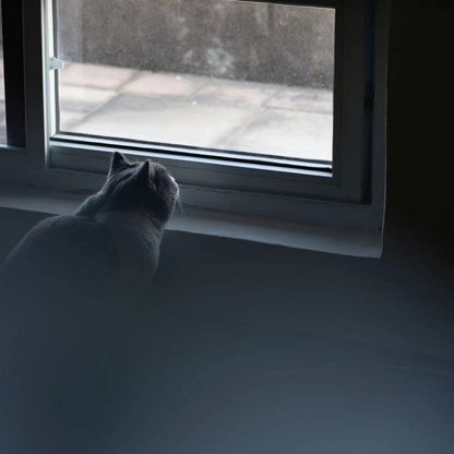 150mm+0.5 Handheld Diopter Blur Special Effect Photography Camera Accessories by buy2fix