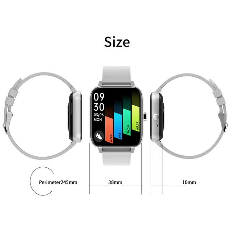 H10 1.69 inch Screen Bluetooth Call Smart Watch, Support Heart Rate/Blood Pressure/Sleep Monitoring, Color: Silver Net+Silicone by buy2fix