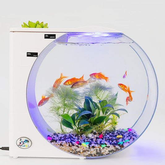 USB Jellyfish Fish Tank Multifunctional Electronic Mini Jellyfish Box(White) - Fish Tanks & Accessories by buy2fix | Online Shopping UK | buy2fix