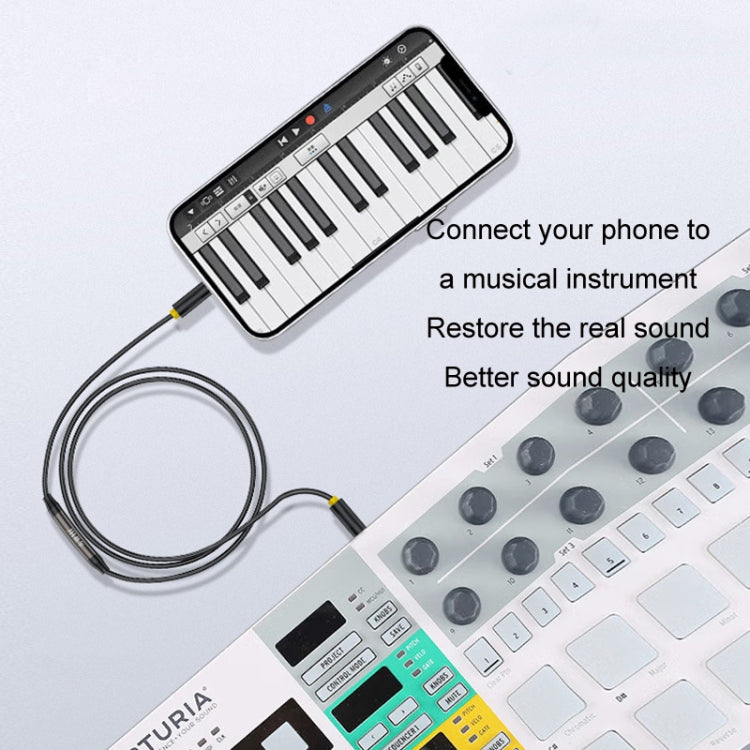 1m JINGHUA 3.5mm Cable Audio Conversion Microphone Two-way Transcriber - Audio Adapter by JINGHUA | Online Shopping UK | buy2fix