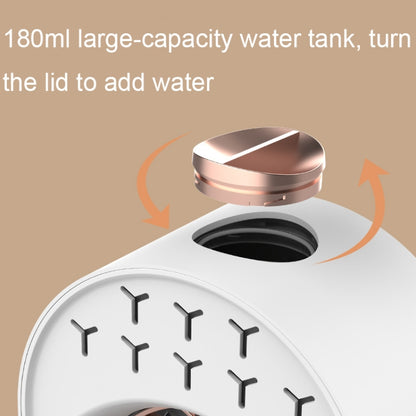 USB Spray Humidification Air Conditioning Fan Small Portable Desktop Air Cooler, Style: Charging (Green) by buy2fix