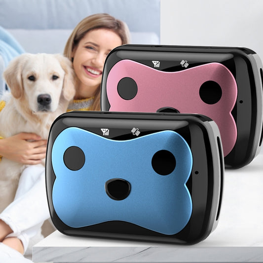 GPS Wireless Wifi Pet Location Chasing Cat Dog Collar Anti-loss Locator(Sky Blue) - Pet Tracker by buy2fix | Online Shopping UK | buy2fix