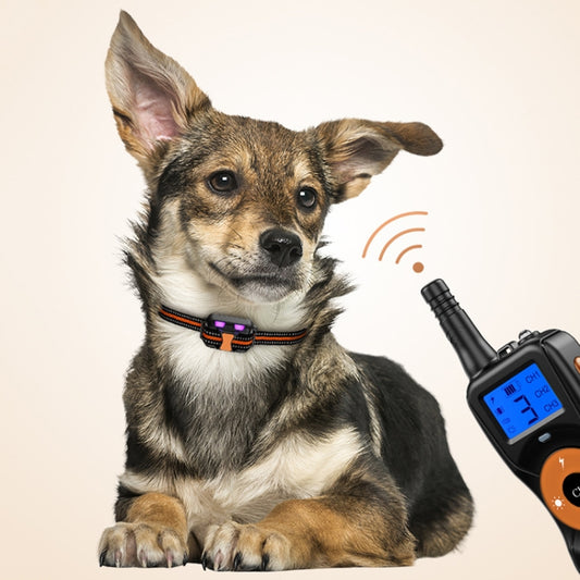 Smart Electronic Remote Control Dog Training Device Waterproof Pets Bark Stopper, Size: For-Two-Dog(Orange) - Training Aids by buy2fix | Online Shopping UK | buy2fix