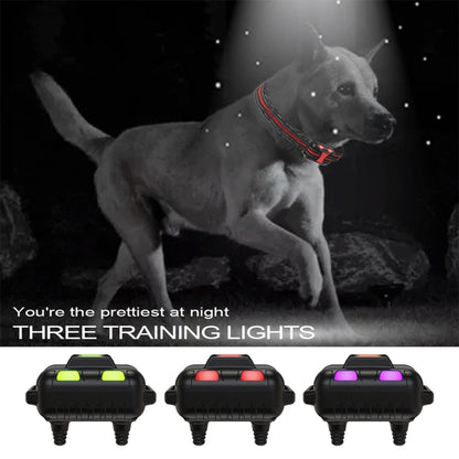 Smart Electronic Remote Control Dog Training Device Waterproof Pets Bark Stopper, Size: For-One-Dog(Red) - Training Aids by buy2fix | Online Shopping UK | buy2fix