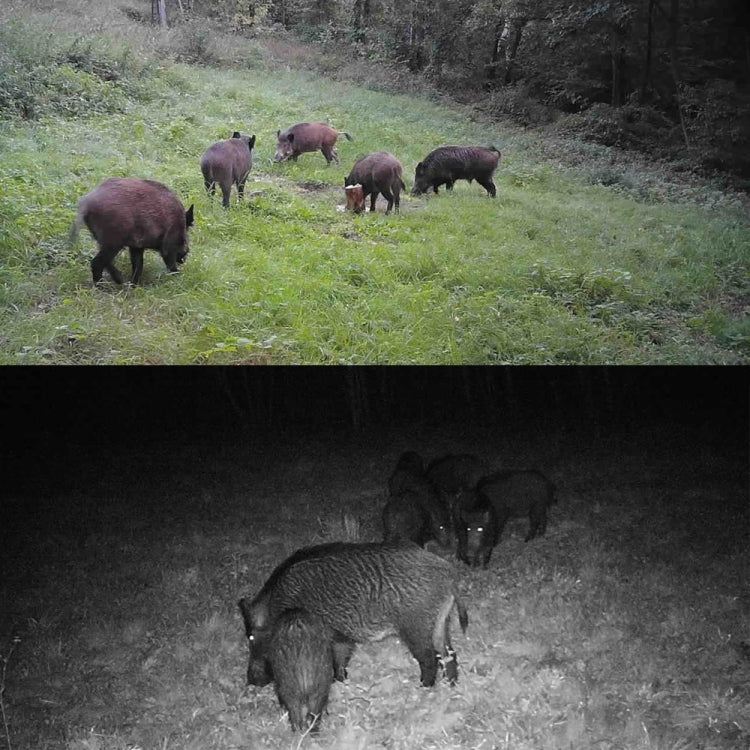 HC-802A 24MP 2.7K Outdoor Track Camera Infrastructure Monitoring Hound Camera by buy2fix