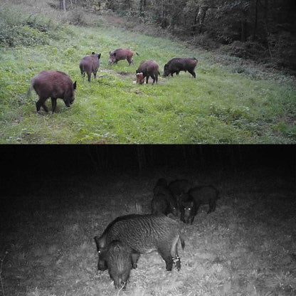 HC-802A 24MP 2.7K Outdoor Track Camera Infrastructure Monitoring Hound Camera by buy2fix