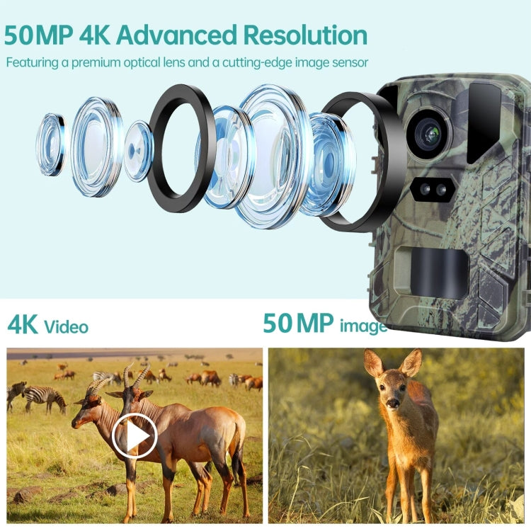 Mini800 Mini Wildlife Hunting Camera 50MP/4K Keep Way Night Vision Infrared Camera - Hunting Cameras by buy2fix | Online Shopping UK | buy2fix