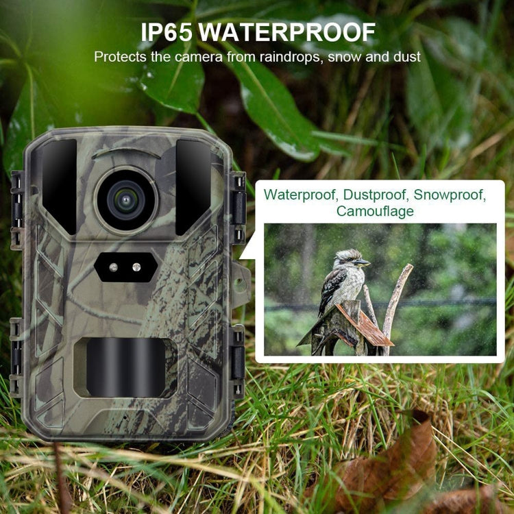 Mini800 Mini Wildlife Hunting Camera 50MP/4K Keep Way Night Vision Infrared Camera - Hunting Cameras by buy2fix | Online Shopping UK | buy2fix