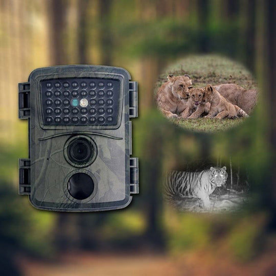 PR600A 20 Million 1080P HD Infrared Cameras 38 Infrared Lamp Monitoring Cameras