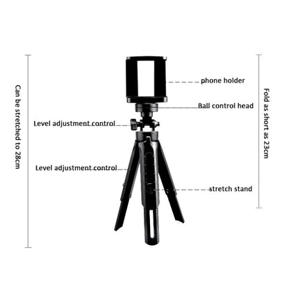 Portable Tabletop Camera Phone Tripod With Ball Head Removable Mini Selfie Tripod(Black) - Stand by buy2fix | Online Shopping UK | buy2fix