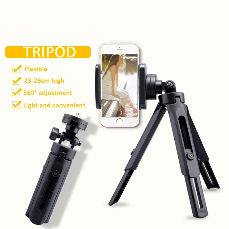 Portable Tabletop Camera Phone Tripod With Ball Head Removable Mini Selfie Tripod(Black) - Stand by buy2fix | Online Shopping UK | buy2fix