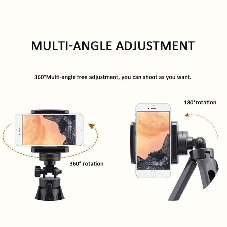 Portable Tabletop Camera Phone Tripod With Ball Head Removable Mini Selfie Tripod(Black) - Stand by buy2fix | Online Shopping UK | buy2fix