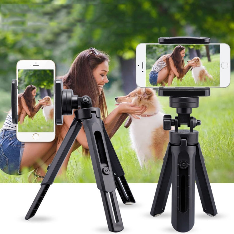 Portable Tabletop Camera Phone Tripod With Ball Head Removable Mini Selfie Tripod(Black) - Stand by buy2fix | Online Shopping UK | buy2fix