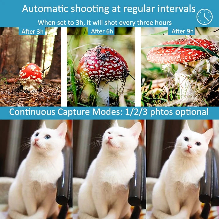 H982 4K Infrared Waterproof Induction Night Vision Monitor Animal HD Outdoor Cameras(Camouflage) - Hunting Cameras by buy2fix | Online Shopping UK | buy2fix