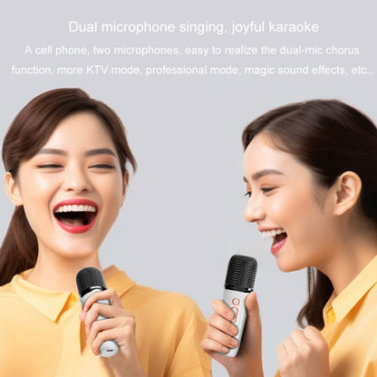 Y5 1 Microphone Portable Bluetooth Speaker Home And Outdoor Wireless Karaoke Audio(Black) - Microphone by buy2fix | Online Shopping UK | buy2fix