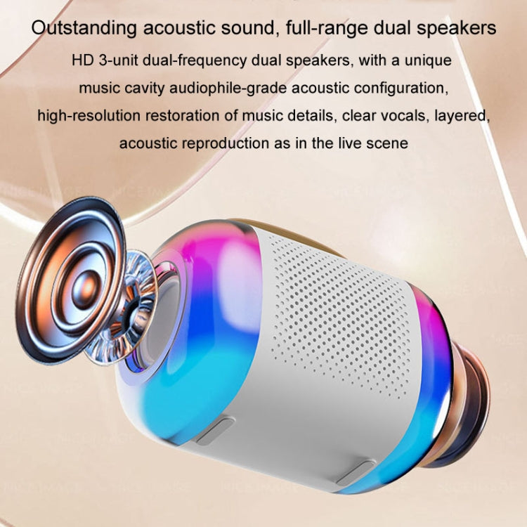 Y5 2 Microphone Portable Bluetooth Speaker Home And Outdoor Wireless Karaoke Audio(Black) by buy2fix