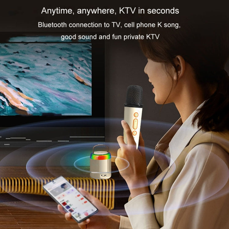 Home Portable Bluetooth Speaker Small Outdoor Karaoke Audio, Color: Y2 Black(Double wheat) by buy2fix