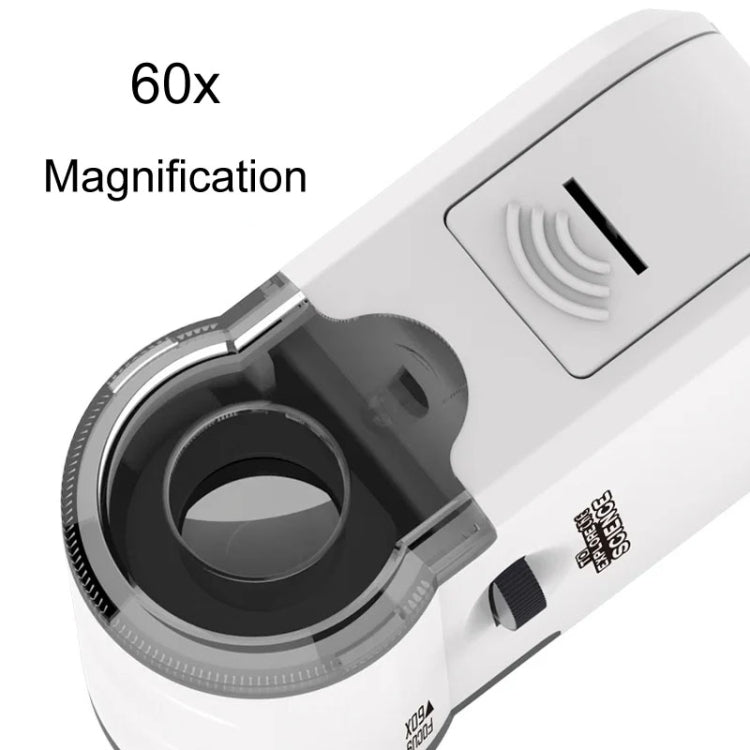 60x Portable Mini Microscope Pendant With LED Lights Outdoor Exploration Observation Fun Kids Toys(Blue) - Digital Microscope by buy2fix | Online Shopping UK | buy2fix