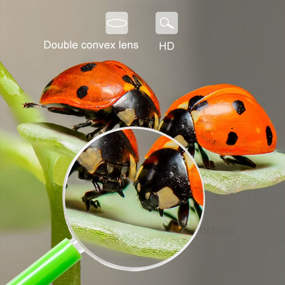 4pcs 40mm 3X Plastic Acrylic Lens Children Teaching Magnifier Color Handle Magnifying Glass, Color Random Delivery - Hand Held Style by buy2fix | Online Shopping UK | buy2fix