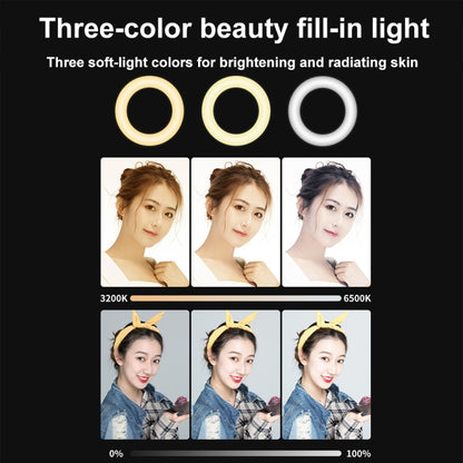 YRing48 4-Inch 48LEDs Laptop Camera Video Conference Live Beauty Ring Fill Light, Spec: Clip Set - Ring Light by buy2fix | Online Shopping UK | buy2fix