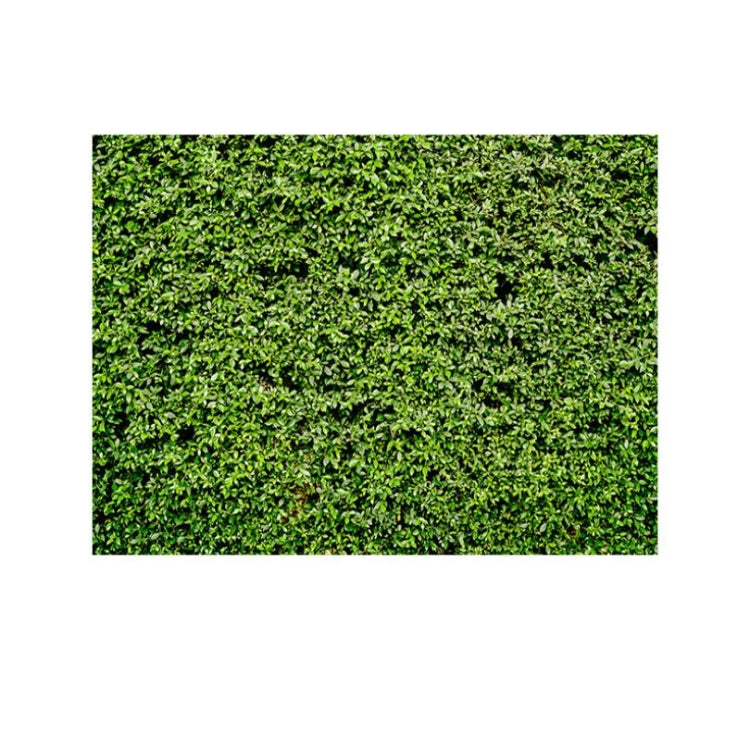 2.1m x 1.5m Green Leaves Wall Birthday party photography background cloth - Birthday Party by buy2fix | Online Shopping UK | buy2fix